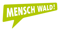 Mensch Wald